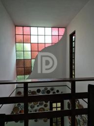 https://img.olx.com.br/thumbs256x256/33/337532274048441.jpg