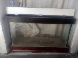 https://img.olx.com.br/thumbs256x256/33/337551011808285.jpg