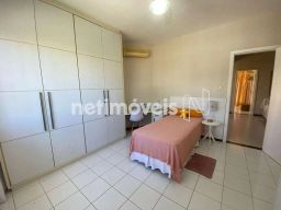 https://img.olx.com.br/thumbs256x256/33/337565164401346.jpg