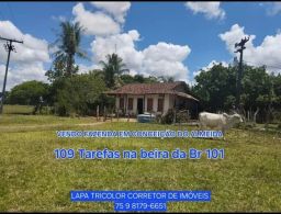 https://img.olx.com.br/thumbs256x256/33/338502165661538.jpg