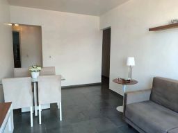 https://img.olx.com.br/thumbs256x256/33/338545150534074.jpg