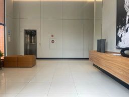https://img.olx.com.br/thumbs256x256/33/338559514938843.jpg