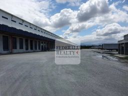 https://img.olx.com.br/thumbs256x256/33/338565764807256.jpg