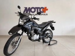 https://img.olx.com.br/thumbs256x256/33/338648801111170.jpg