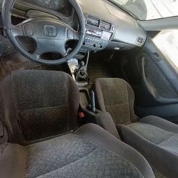 https://img.olx.com.br/thumbs256x256/33/338655772902981.jpg