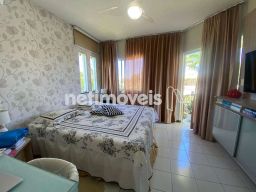 https://img.olx.com.br/thumbs256x256/33/339510161893068.jpg