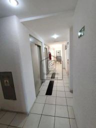 https://img.olx.com.br/thumbs256x256/33/339552406296572.jpg