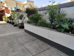 https://img.olx.com.br/thumbs256x256/33/339590151261886.jpg