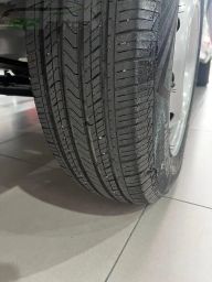 https://img.olx.com.br/thumbs256x256/33/339606922719294.jpg