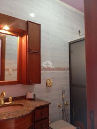 https://img.olx.com.br/thumbs256x256/34/340597288859070.jpg