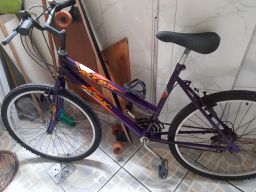 https://img.olx.com.br/thumbs256x256/34/341501755649873.jpg