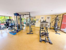 https://img.olx.com.br/thumbs256x256/34/341535646989515.jpg