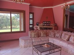https://img.olx.com.br/thumbs256x256/34/341575767202927.jpg