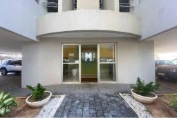 https://img.olx.com.br/thumbs256x256/34/341592769152919.jpg
