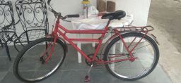 https://img.olx.com.br/thumbs256x256/34/342419551713319.jpg