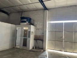 https://img.olx.com.br/thumbs256x256/34/342527036351718.jpg