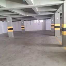 https://img.olx.com.br/thumbs256x256/34/342543274940155.jpg