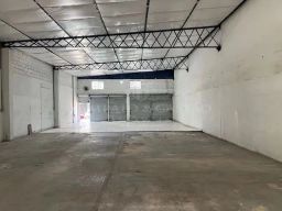 https://img.olx.com.br/thumbs256x256/34/342566516606236.jpg