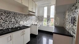 https://img.olx.com.br/thumbs256x256/34/342580763665453.jpg