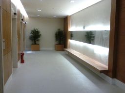 https://img.olx.com.br/thumbs256x256/34/342584762849144.jpg