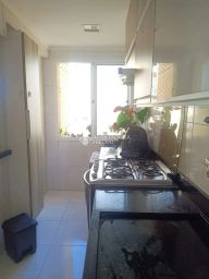 https://img.olx.com.br/thumbs256x256/34/342591886532503.jpg