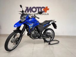 https://img.olx.com.br/thumbs256x256/34/342623202908667.jpg