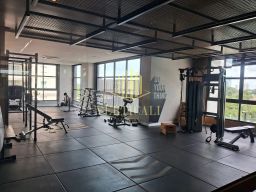 https://img.olx.com.br/thumbs256x256/34/343532286609629.jpg