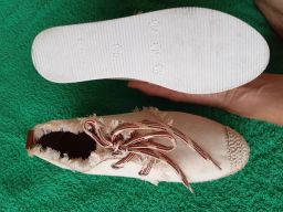 https://img.olx.com.br/thumbs256x256/34/344308207915616.jpg