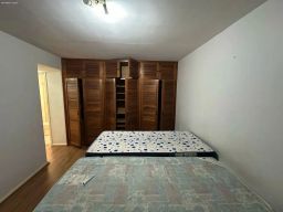 https://img.olx.com.br/thumbs256x256/34/344504876193321.jpg
