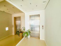https://img.olx.com.br/thumbs256x256/34/344544288239481.jpg