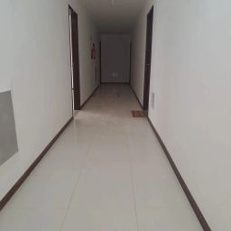 https://img.olx.com.br/thumbs256x256/34/344591756552633.jpg