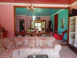 https://img.olx.com.br/thumbs256x256/34/344595768786722.jpg