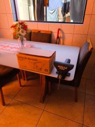 https://img.olx.com.br/thumbs256x256/34/344649671408300.jpg