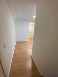 https://img.olx.com.br/thumbs256x256/34/344665565704730.jpg