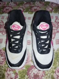 https://img.olx.com.br/thumbs256x256/34/345629248256573.jpg