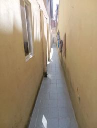https://img.olx.com.br/thumbs256x256/34/346556041994044.jpg
