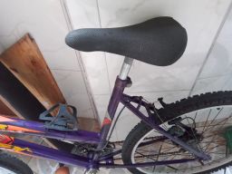 https://img.olx.com.br/thumbs256x256/34/346557879130534.jpg