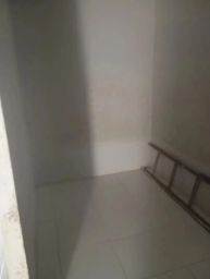 https://img.olx.com.br/thumbs256x256/34/347515648120748.jpg