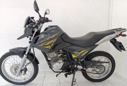 https://img.olx.com.br/thumbs256x256/34/347591169001558.jpg