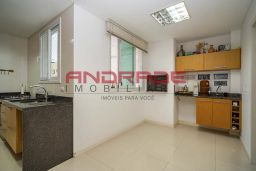 https://img.olx.com.br/thumbs256x256/34/349510408693589.jpg