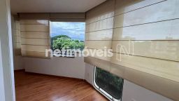 https://img.olx.com.br/thumbs256x256/34/349518163629349.jpg