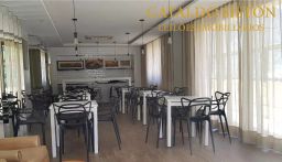https://img.olx.com.br/thumbs256x256/34/349523645513004.jpg