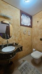 https://img.olx.com.br/thumbs256x256/34/349528525904720.jpg