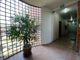 https://img.olx.com.br/thumbs256x256/34/349557528910279.jpg