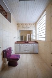 https://img.olx.com.br/thumbs256x256/35/350558473688274.jpg