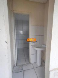 https://img.olx.com.br/thumbs256x256/35/350566643318873.jpg