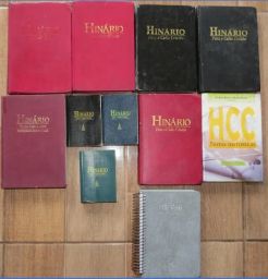 https://img.olx.com.br/thumbs256x256/35/351410696849541.jpg