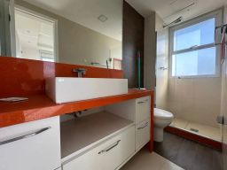 https://img.olx.com.br/thumbs256x256/35/351539522295597.jpg