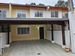 https://img.olx.com.br/thumbs256x256/35/351542639739380.jpg