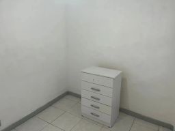 https://img.olx.com.br/thumbs256x256/35/351547642899307.jpg
